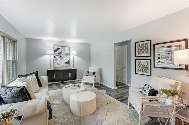 living room with dark hardwood / wood-style floors