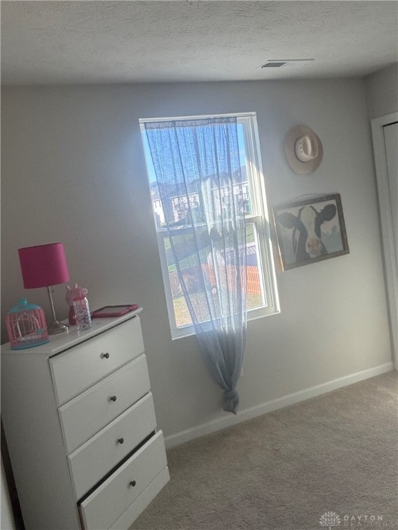 interior space with light colored carpet, multiple windows, and a textured ceiling