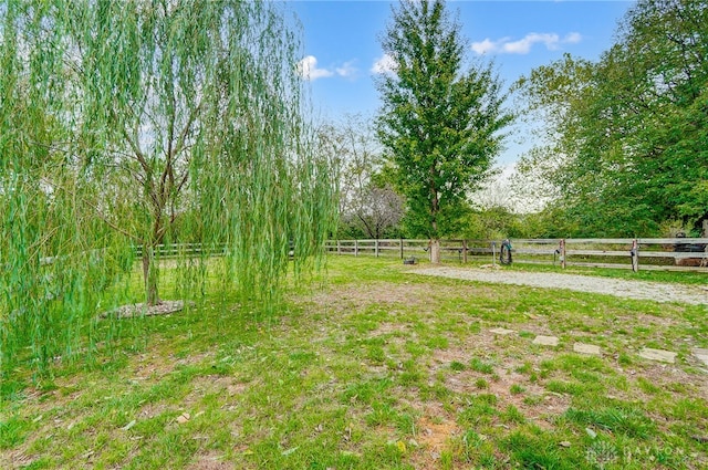 view of yard with a rural view