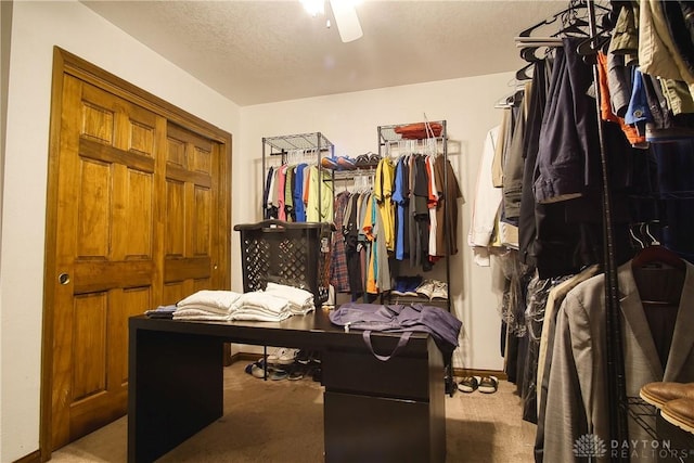 walk in closet featuring light carpet