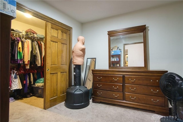 bedroom with a walk in closet, light colored carpet, and a closet