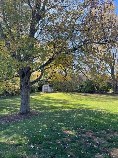 view of yard featuring a shed