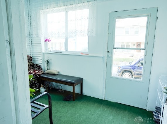 doorway featuring carpet flooring and a healthy amount of sunlight