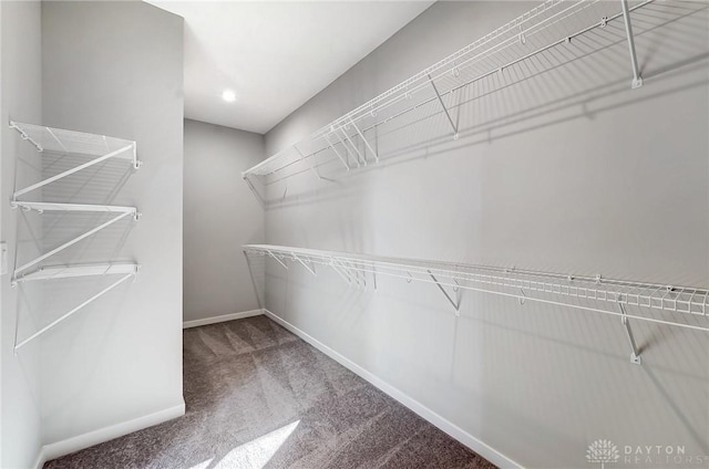 spacious closet with carpet flooring