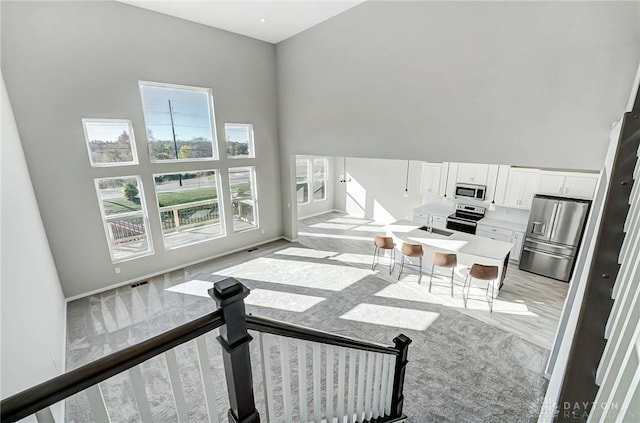 living room featuring a high ceiling