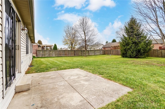 view of yard featuring a patio area