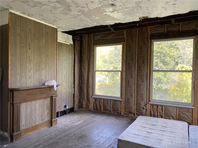 misc room featuring dark hardwood / wood-style floors