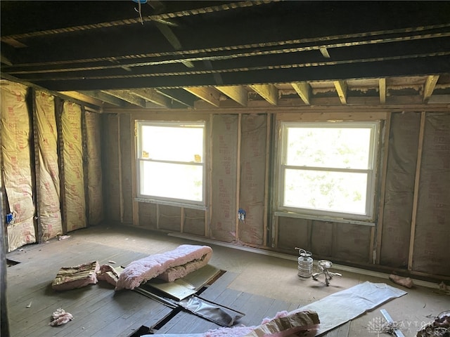 miscellaneous room featuring a wealth of natural light