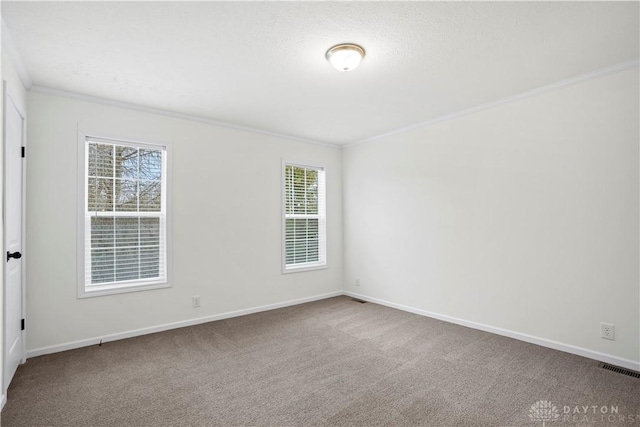 empty room featuring carpet flooring, a textured ceiling, and ornamental molding