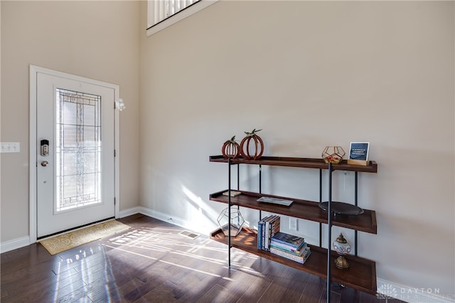 entrance foyer with wood-type flooring