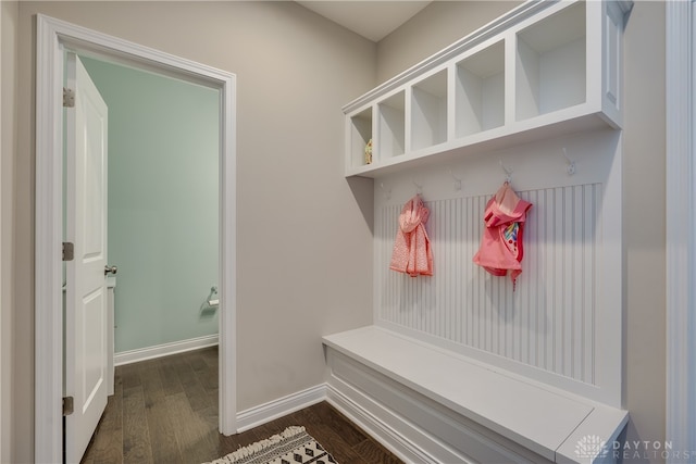 mudroom with dark wood-type flooring