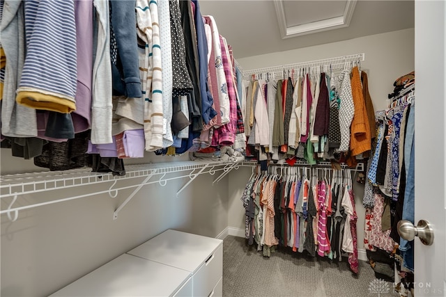 walk in closet with carpet floors