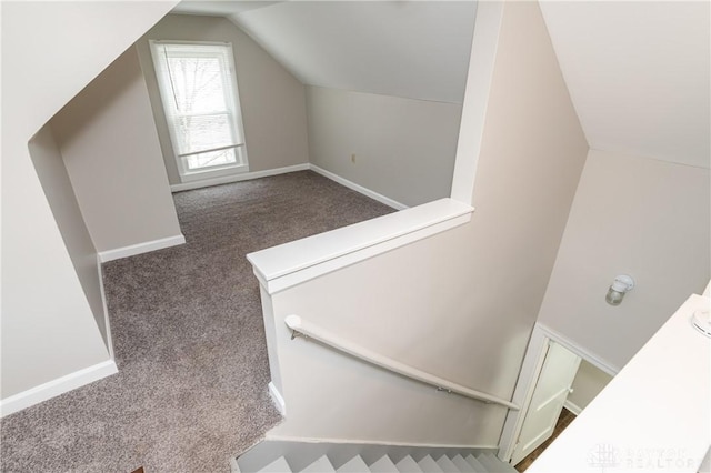 staircase featuring carpet flooring and lofted ceiling