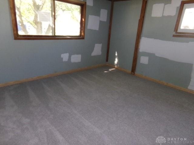 spare room with carpet