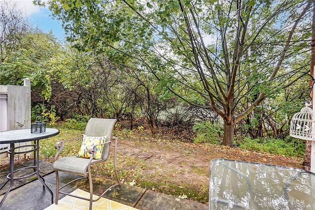 view of yard featuring a patio