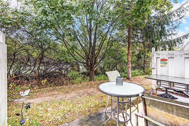 view of yard featuring a patio