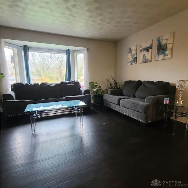 living room with dark hardwood / wood-style flooring