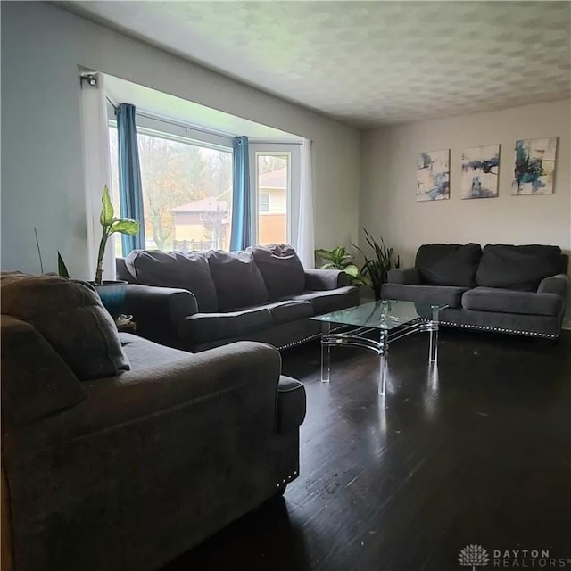 living area featuring a textured ceiling and wood finished floors