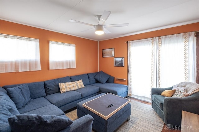 living room with crown molding and ceiling fan