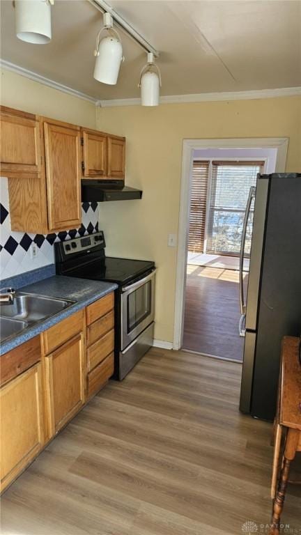 kitchen with sink, crown molding, light hardwood / wood-style flooring, stainless steel appliances, and exhaust hood