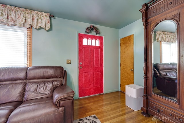 entryway featuring light wood-type flooring and a wealth of natural light