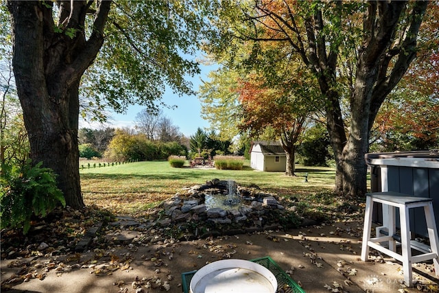 view of yard featuring a patio area and a storage shed