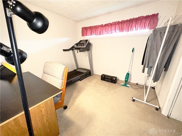 workout area with carpet flooring