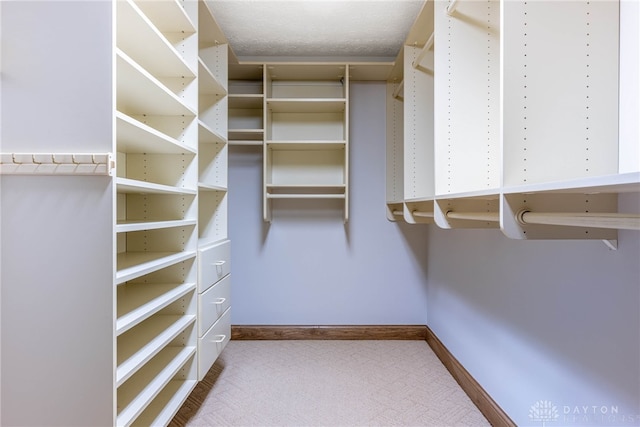 walk in closet featuring carpet