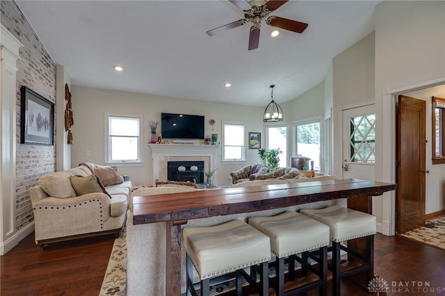 interior space featuring lofted ceiling, a healthy amount of sunlight, and dark hardwood / wood-style floors