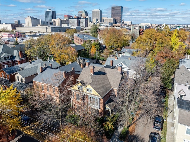 bird's eye view