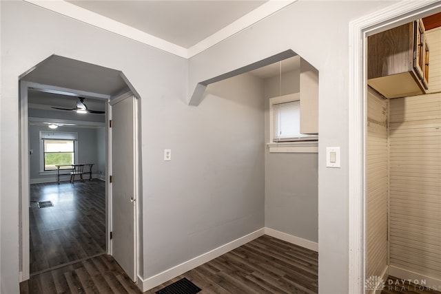 laundry area with ceiling fan, crown molding, and dark hardwood / wood-style flooring