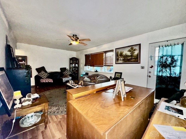 office featuring hardwood / wood-style floors, a healthy amount of sunlight, and ceiling fan