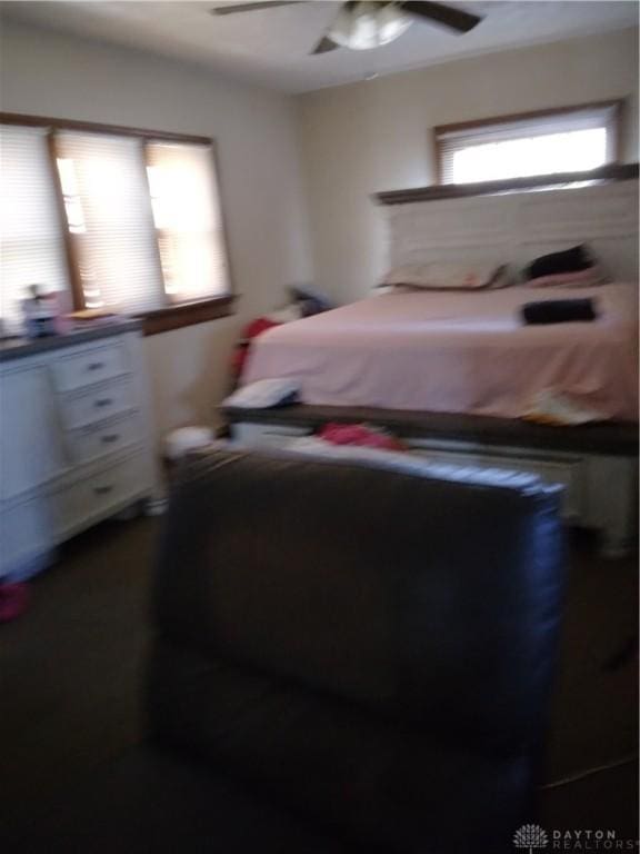 bedroom with ceiling fan
