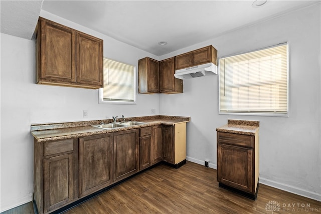 kitchen featuring dark wood-type flooring, sink, and a healthy amount of sunlight