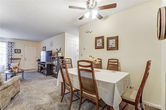 dining space with ceiling fan and carpet