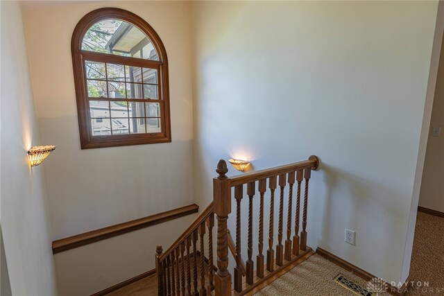 staircase with carpet