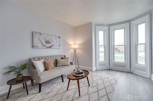 living room with light hardwood / wood-style floors