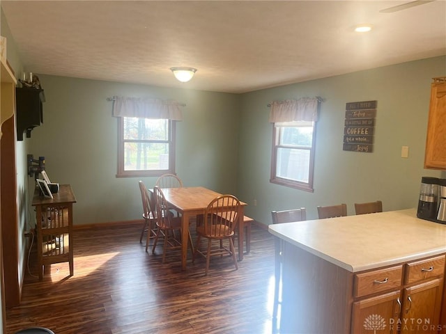 dining space featuring dark wood-style flooring, plenty of natural light, and baseboards