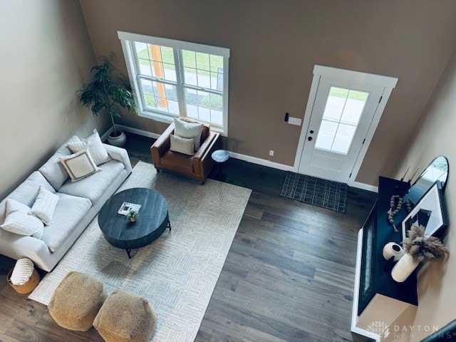 living room featuring hardwood / wood-style floors