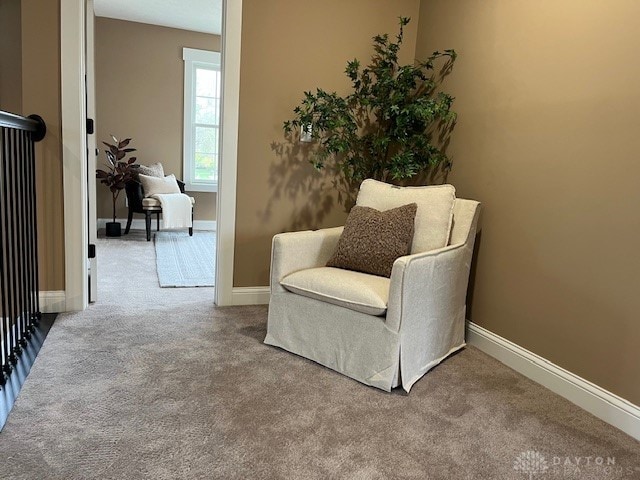 sitting room with carpet