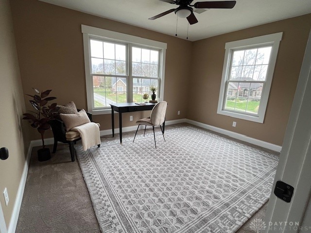 carpeted office with ceiling fan and a wealth of natural light