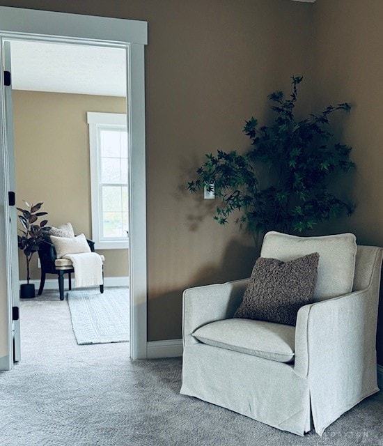 living area with carpet flooring