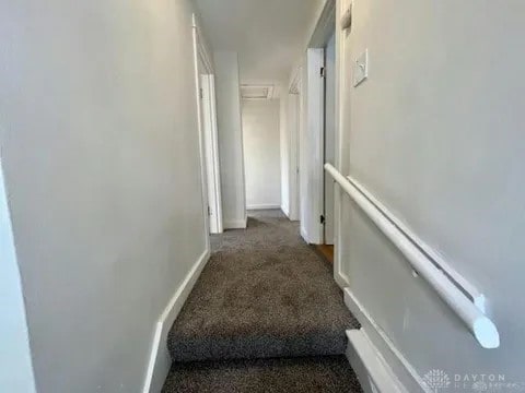 staircase featuring carpet