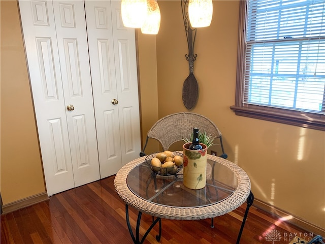 dining space featuring dark wood-type flooring