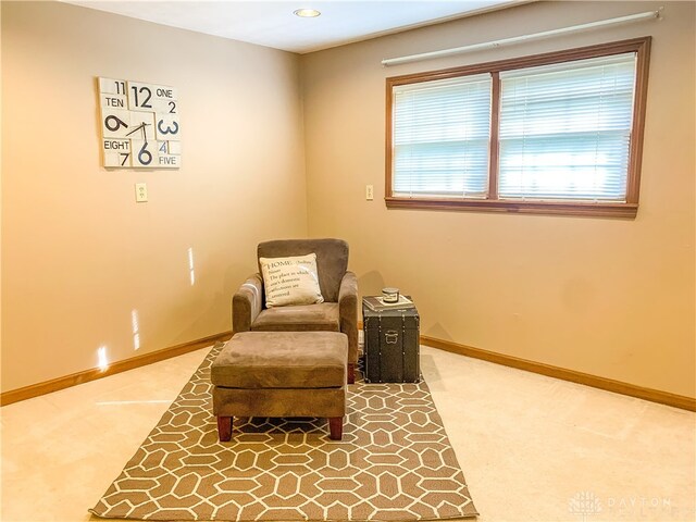 living area with carpet floors