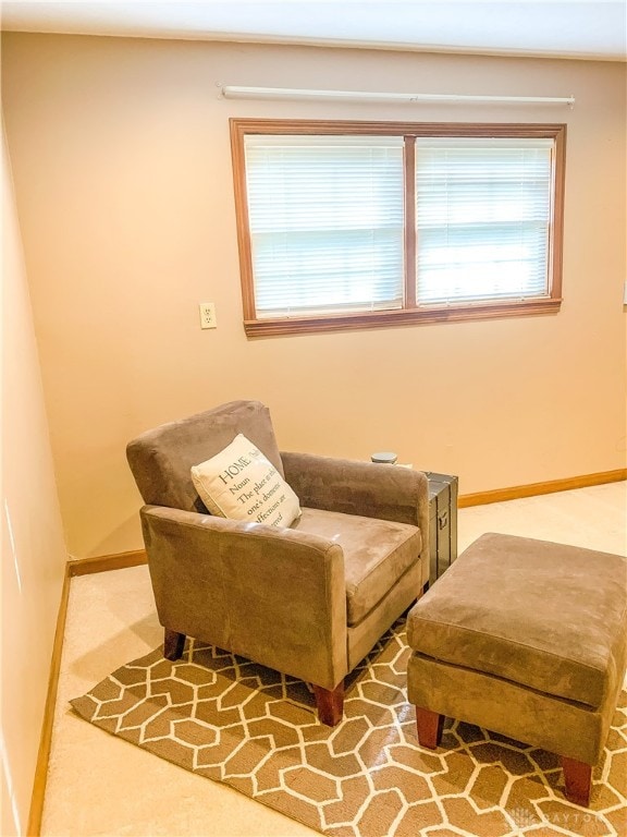 sitting room featuring carpet flooring