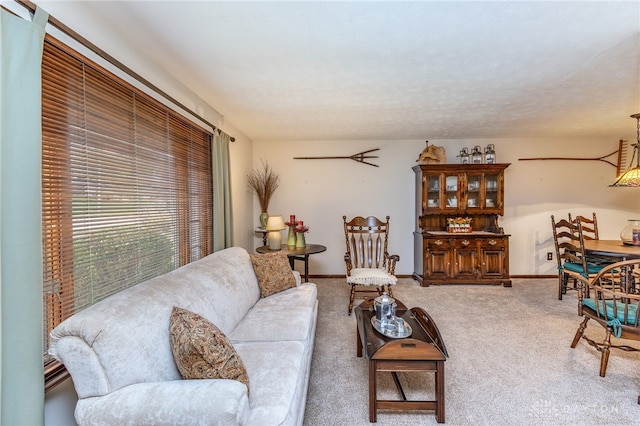 living room with carpet floors