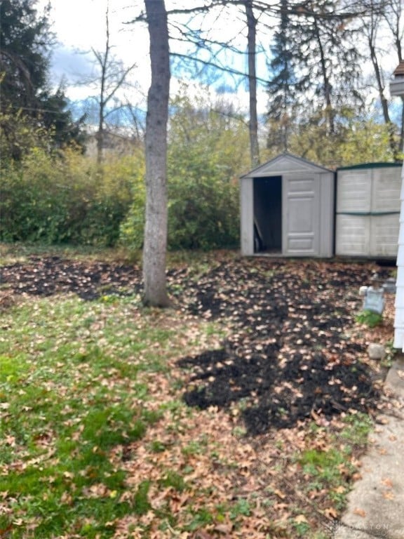 view of yard featuring a storage unit