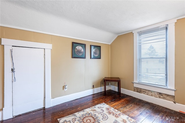 additional living space featuring a textured ceiling, dark hardwood / wood-style floors, and vaulted ceiling