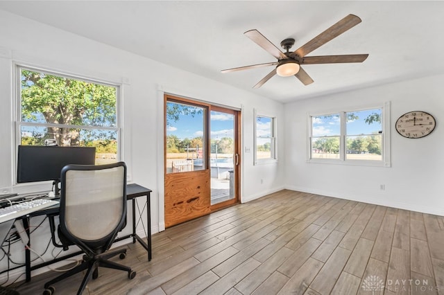 office space with ceiling fan and light hardwood / wood-style flooring